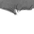 Immagine 12.208