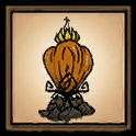 Pumpkin Plant