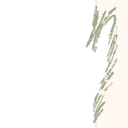 Image 2,344
