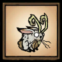 Fortuitous Rabbit
