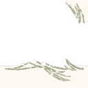 Image 2,456