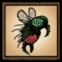 Mosquito