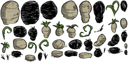 Image 1,231