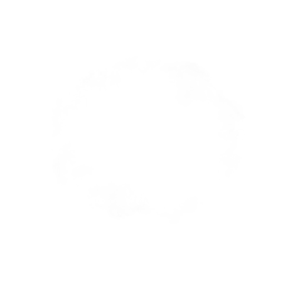 Obraz 9585