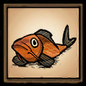 Carpa koi dorata