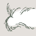 Image 2,666