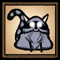Catcoon