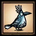 Snowbird