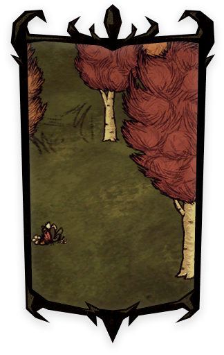 Image 8,513