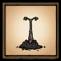 Twiggy Sapling