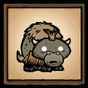 Baby Beefalo