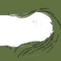 Image 12,405