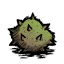 Image 15,533