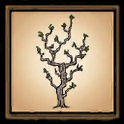 Albero esile
