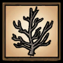 Sapling