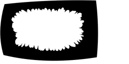 Obraz 3851