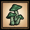 Green Mushroom