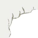 Image 2,916