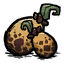 Bulbous Seeds