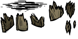 Image 9,005