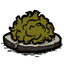 Compost