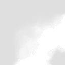 Image 3,019