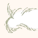 Image 3,026