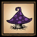 Toadstool