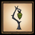 Albero banane di grotta
