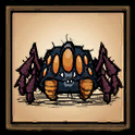 Araña enfermera
