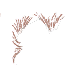 Image 3,134