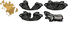 Obraz 5704