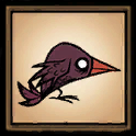 Misshapen Bird