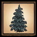 Lumpy Evergreen