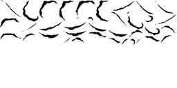Obraz 3873