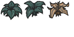 Image 2,047