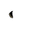 Image 16,259