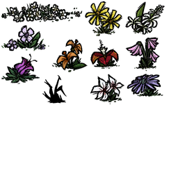 Image 1,608