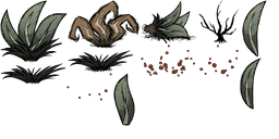 Image 2,860