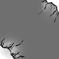 Immagine 12.607