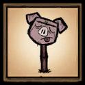 Pig Head
