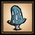 Blue Mushroom