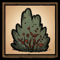 Berry Bush