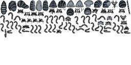 Image 517