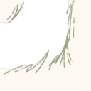 Image 3,399
