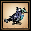 Bright-Beaked Bird