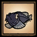 Black Catfish
