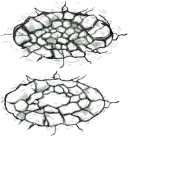 Image 10,120