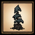 Lumpy Sapling