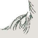 Image 3,488
